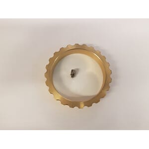 Back ring /set screw for A100EH