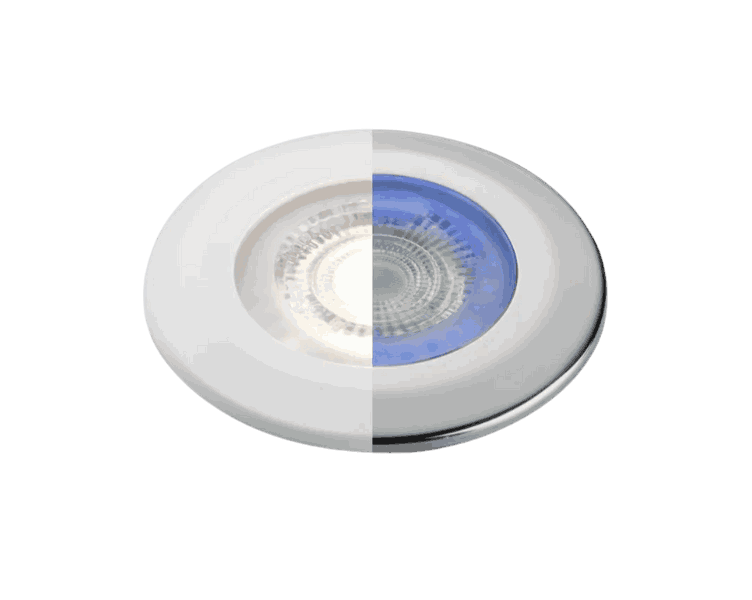LED Downlight
