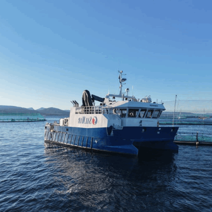 Promek Tonningen bygg 251