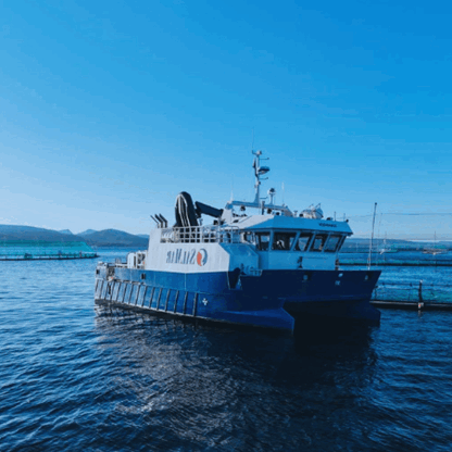 Promek Tonningen bygg 251